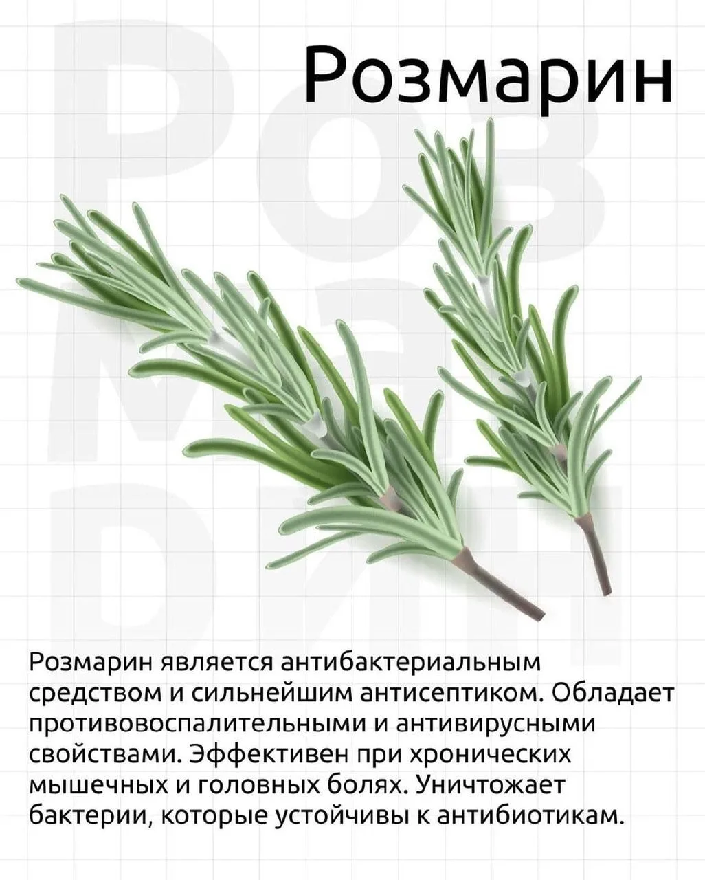 🔥АНТИВИРУСНЫЕ ПОМОЩНИКИ ПРИ ПРОСТУДЕ И ДЛЯ ЕЖЕДНЕВНОГО УКРЕПЛЕНИЯ ИММУНИТЕТА 🔥