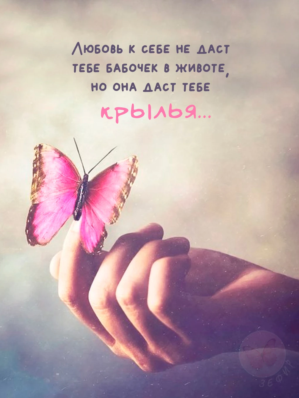 З Е Ф И Р