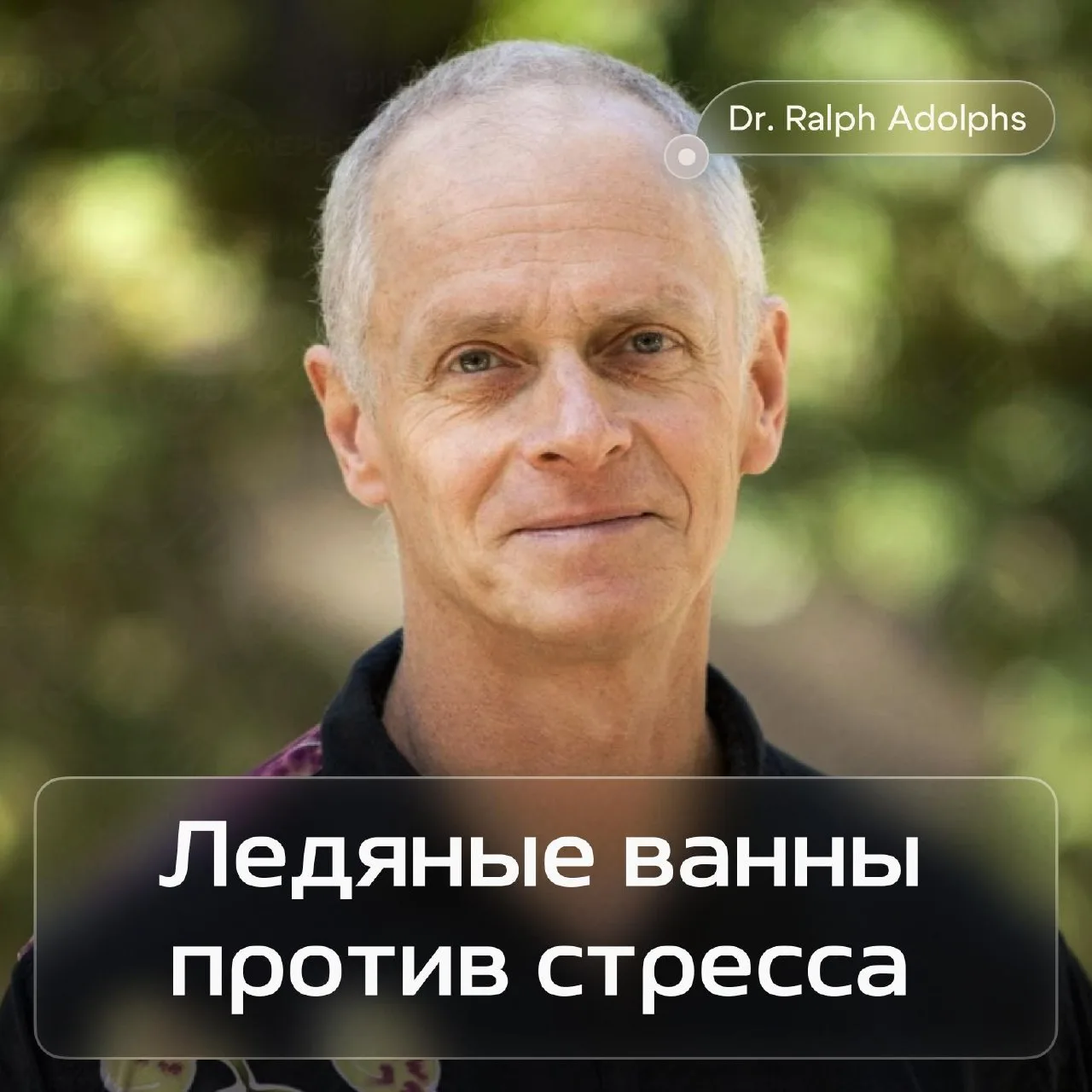 Ледяные ванны помогают лучше справляться со стрессом — такой эффект заметил нейробиолог...