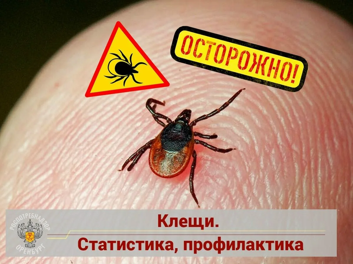 🕷Продолжают кусать