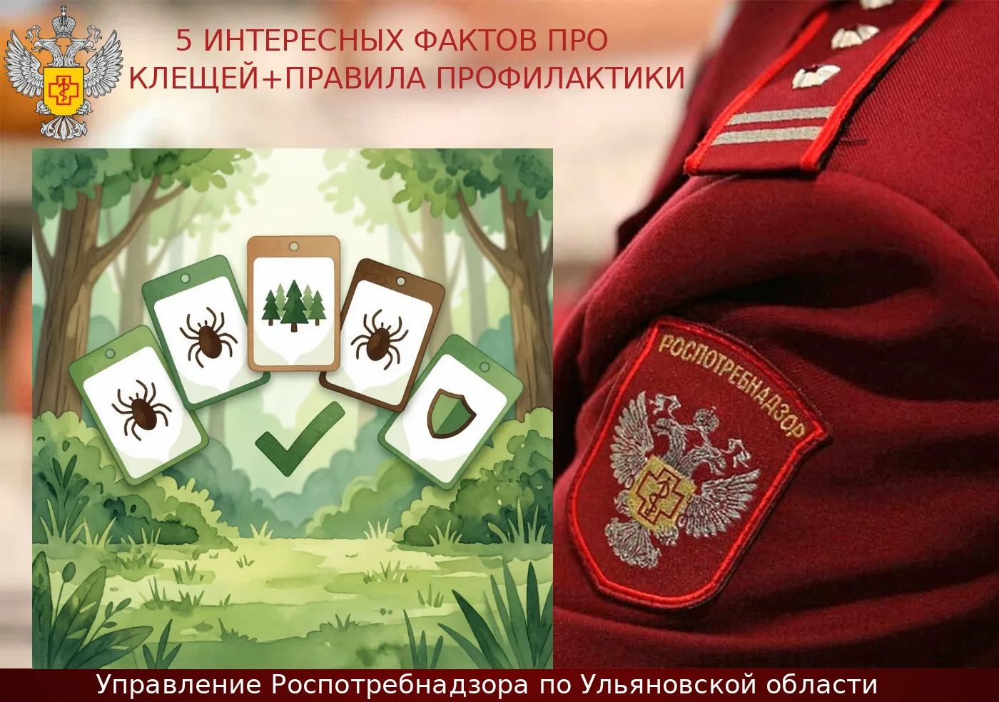 5 интересных фактов про клещей+правила профилактики

Пять интересных фактов о клещах:
1. Клещи — не 