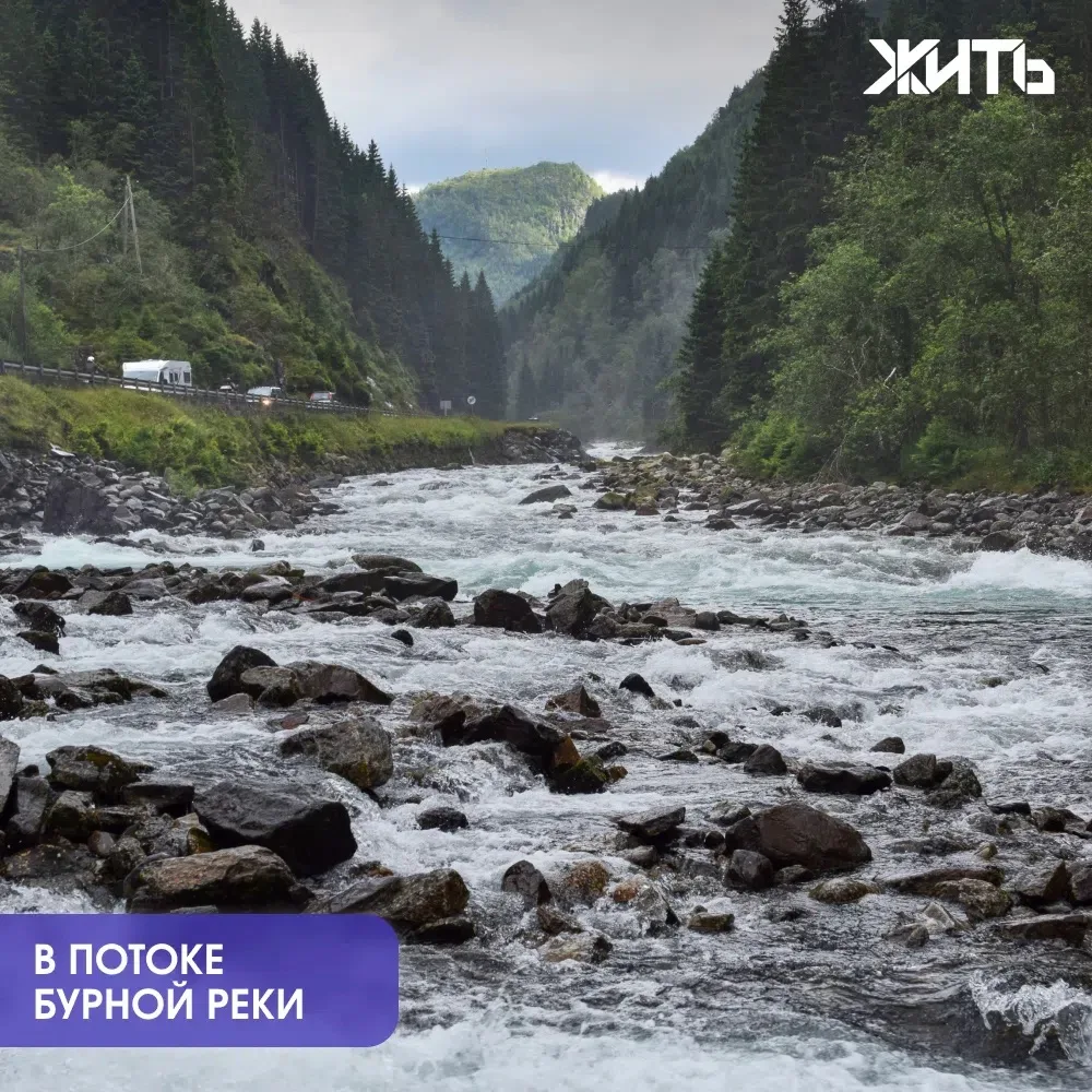 Российский турист спас тонувшую девочку в Турции

Во время экскурсии в турецком Кемере российский ту