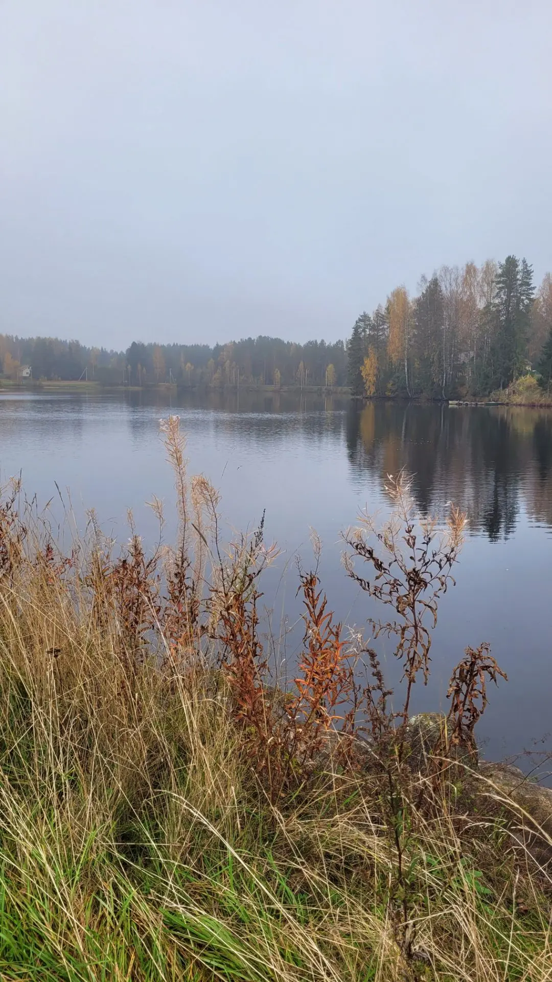 Мы сегодня на р. Свирь 🍂