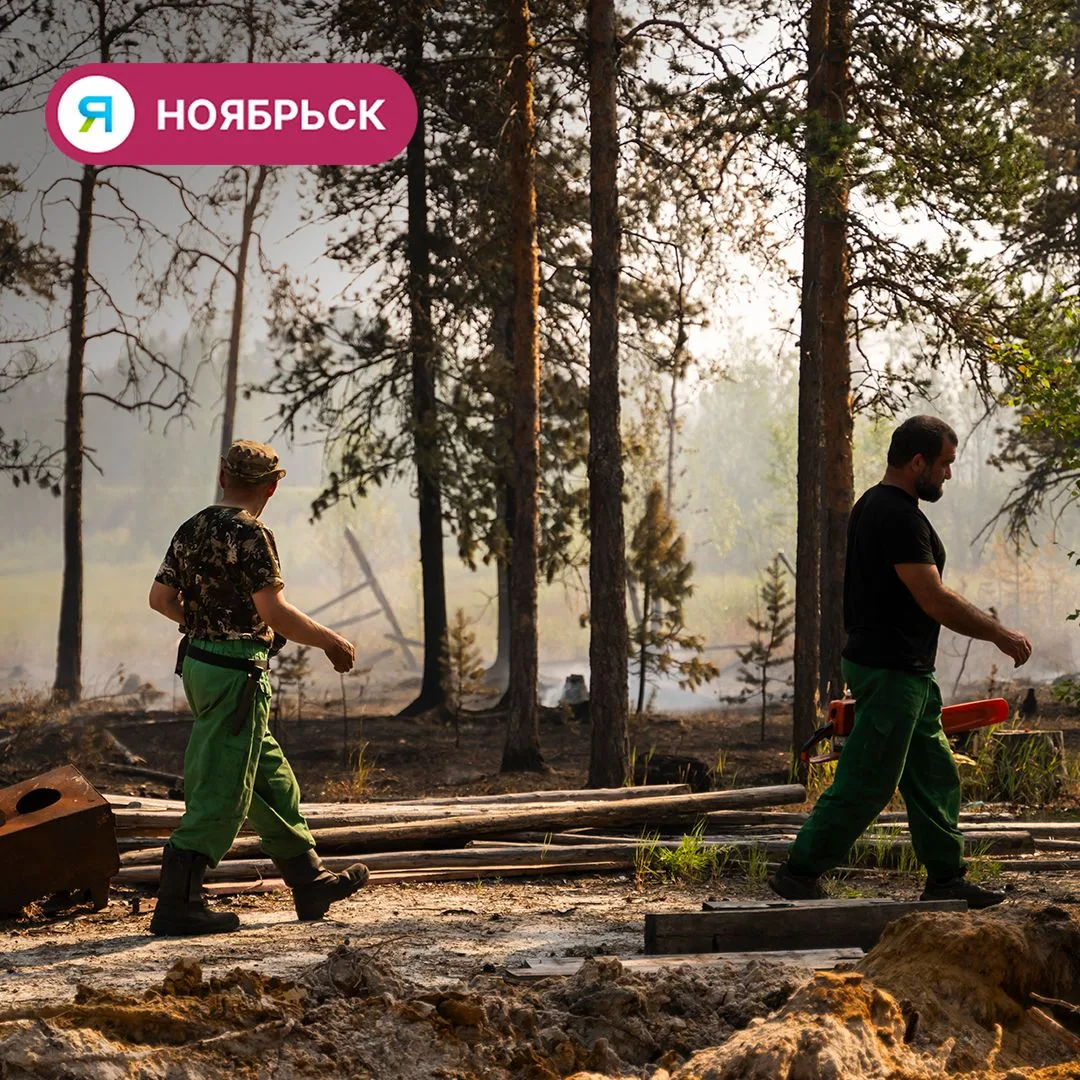 🧯На Ямале за сутки потушили 5 лесных пожаров