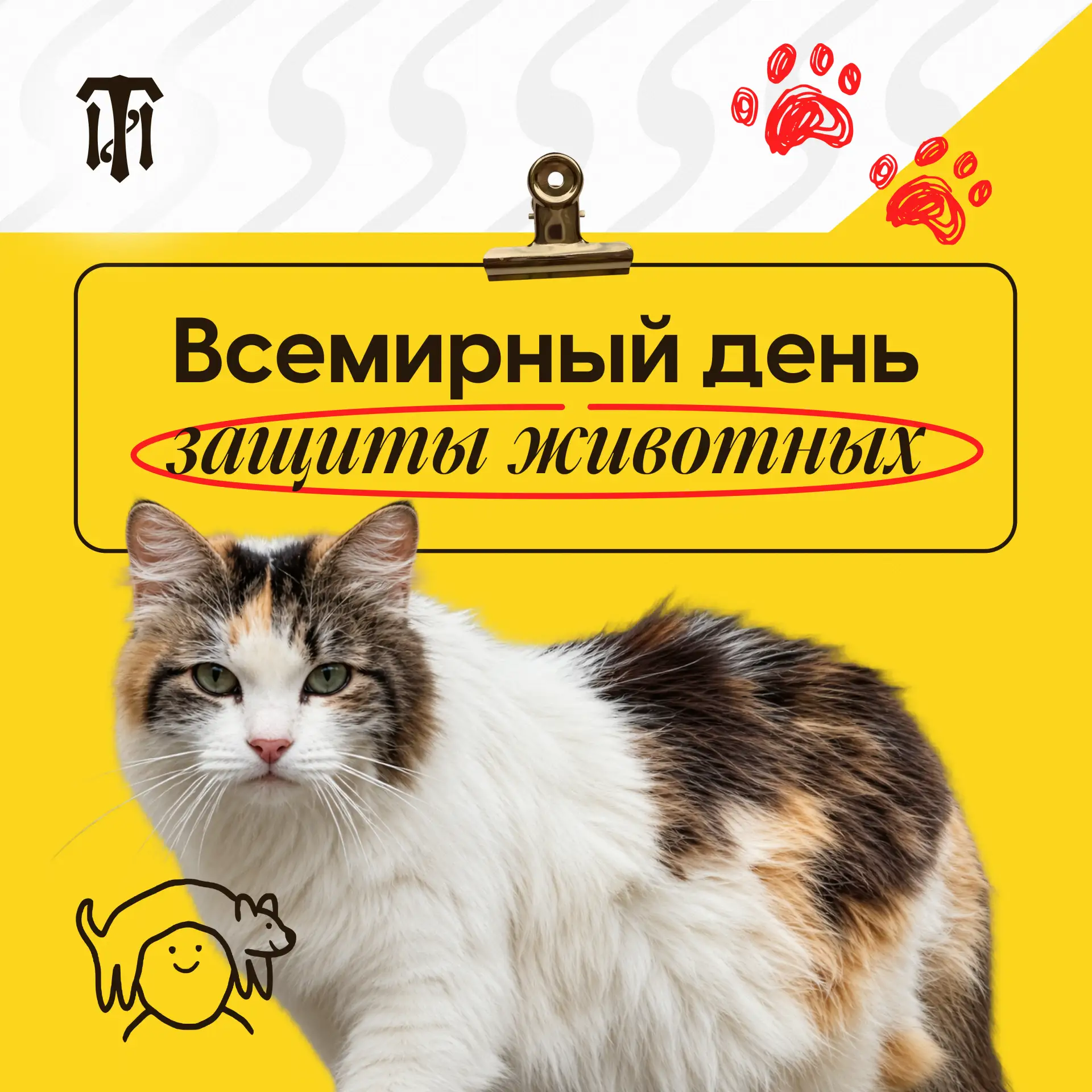 Сегодня – Всемирный день защиты животных 🐾