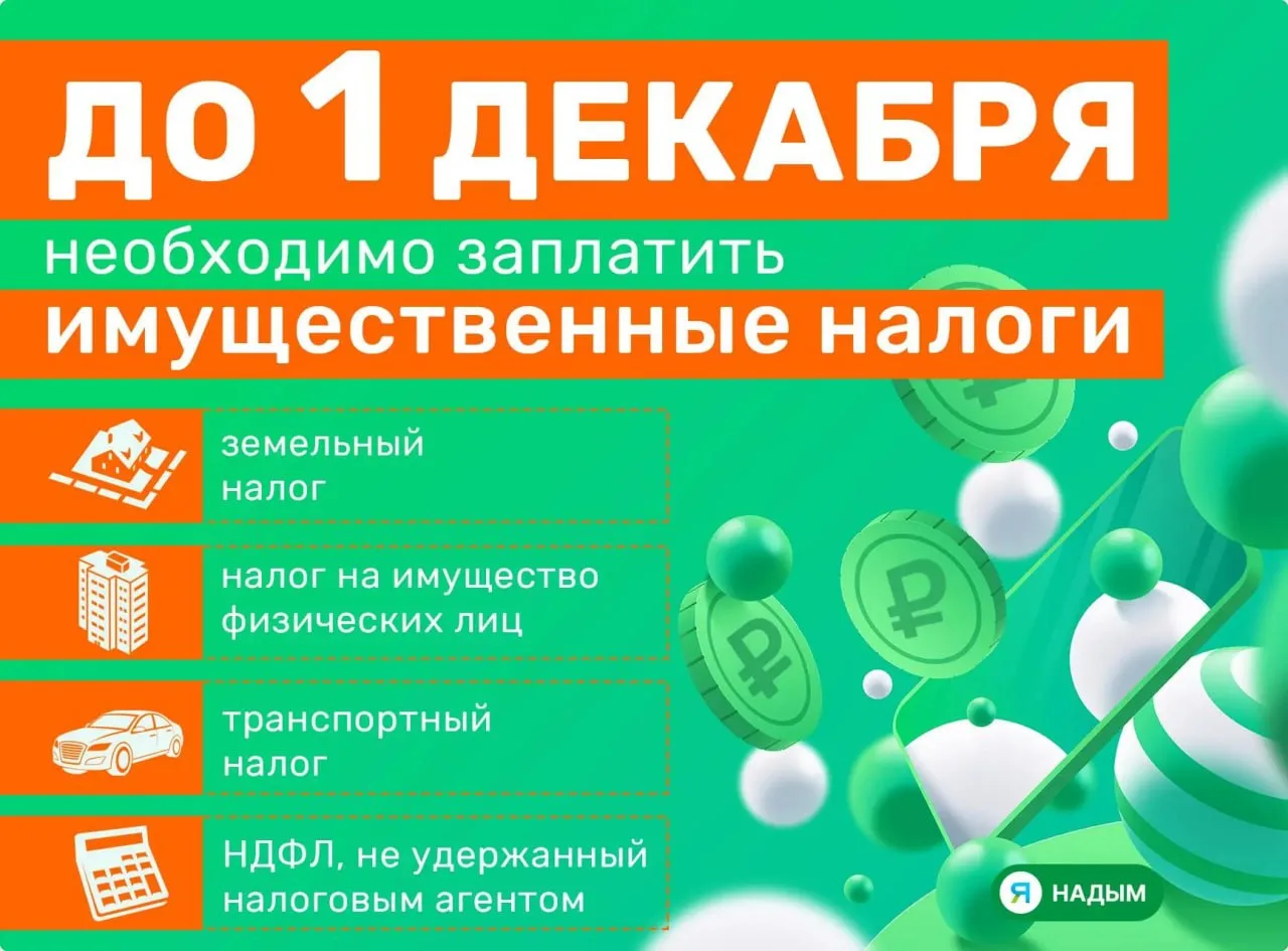 💰 Надымчане, проверьте налоговые уведомления за 2025 год