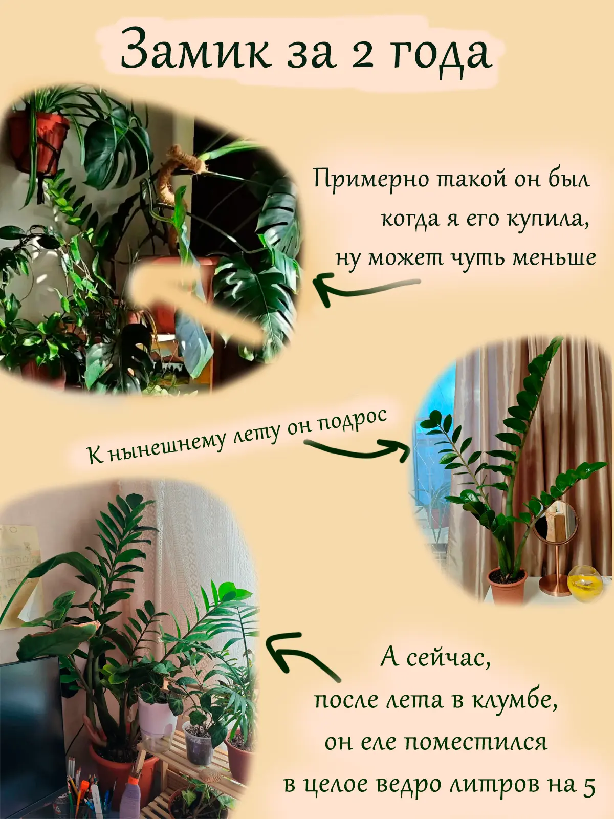 Топ - 3 беспроблемных зеленых