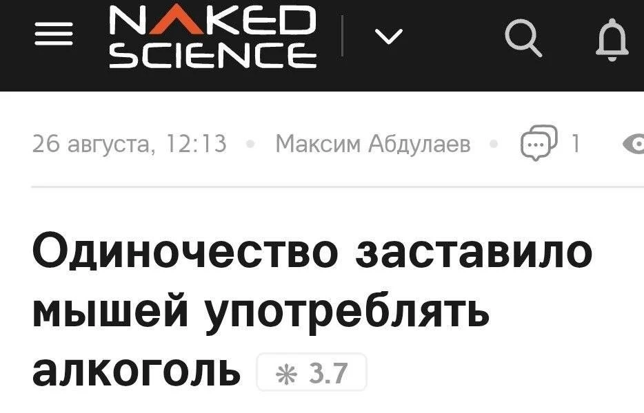 Медиа публикации