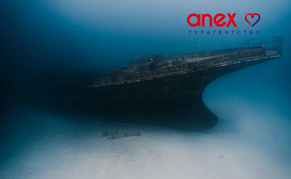🐠 На Мальдивах затонувший корабль превращают в живой риф

На курорте Siyam World Maldives запустили