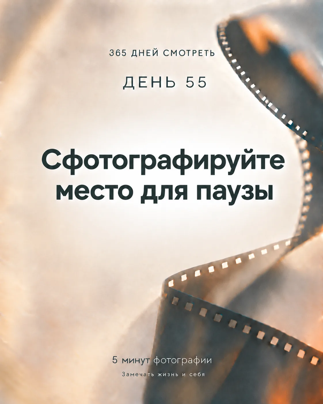 День 55. Место для паузы