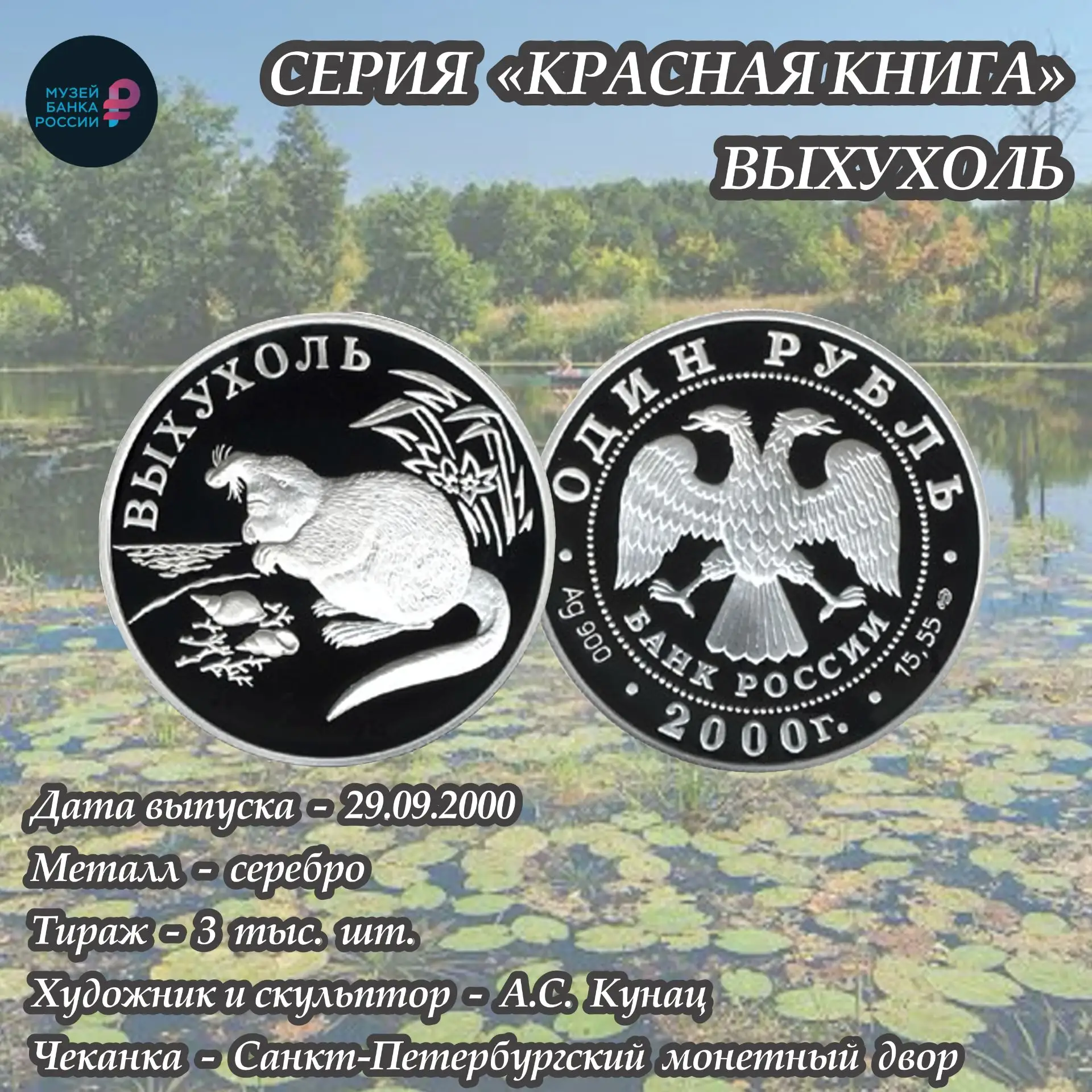 Выхухоль на монете: редкий зверек, который любит темноту и чистую воду