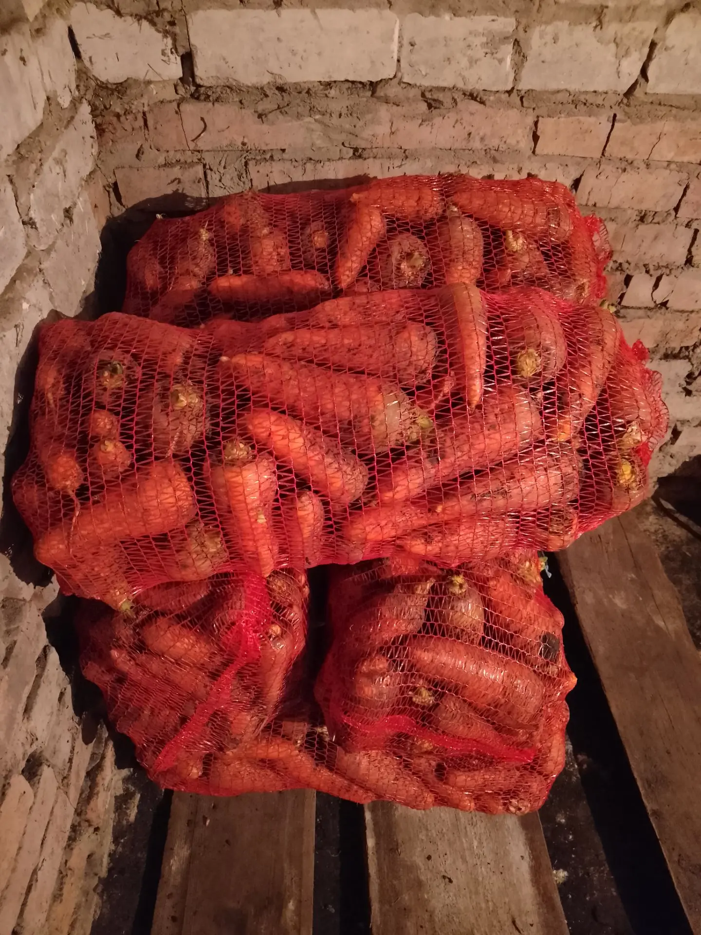 Продаю крупную морковь,в сетке 20 кг , одна сетка 800 рублей,  выращенные в Яльчикском ...