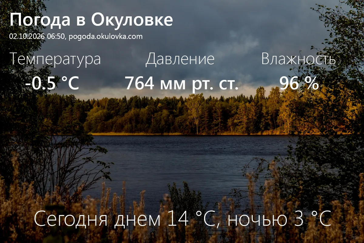 Доброе утро! Сейчас в Окуловке -0.5 °C, давление 764 мм.рт.ст., влажность 96%.
