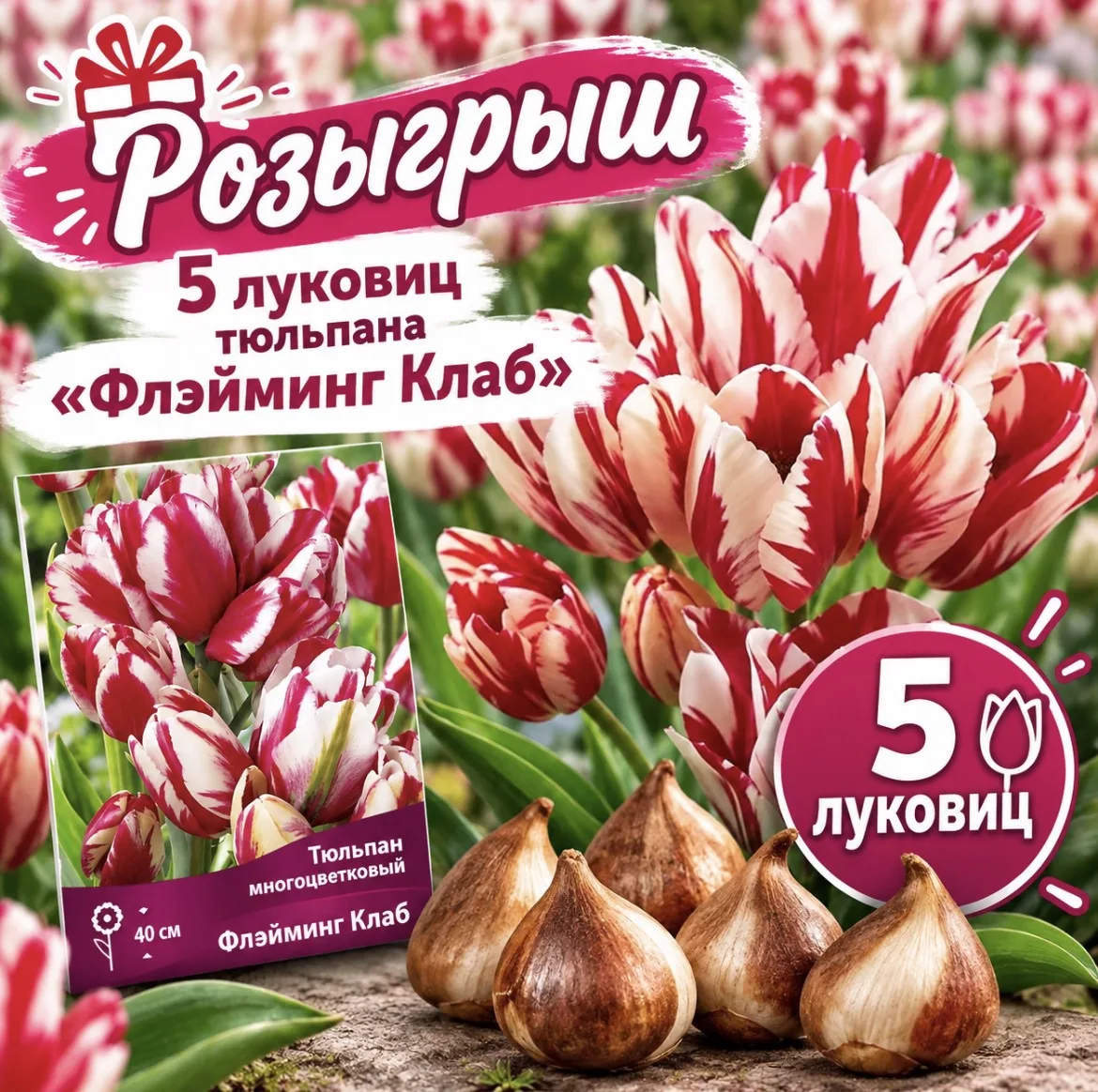 🍂 ОСЕНЬ — ВРЕМЯ САЖАТЬ ВЕСНУ! 🌷