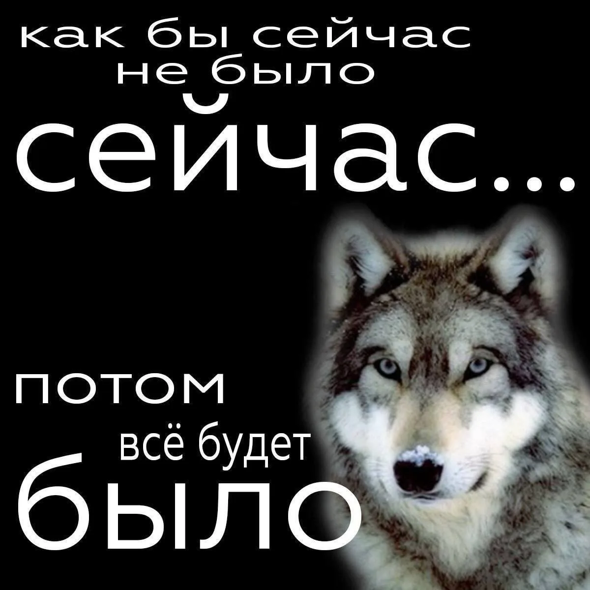 Prosto напоминание 


MAX ПОНАРОШКУ