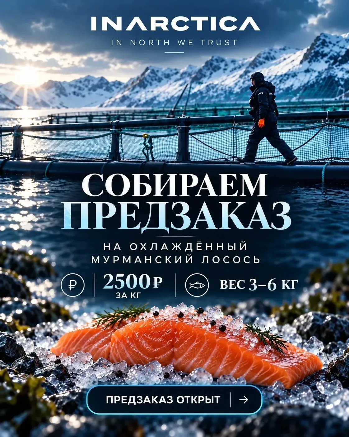 🐟 СВЕЖИЙ МУРМАНСКИЙ ЛОСОСЬ — ПРЯМИКОМ ИЗ АРКТИКИ!