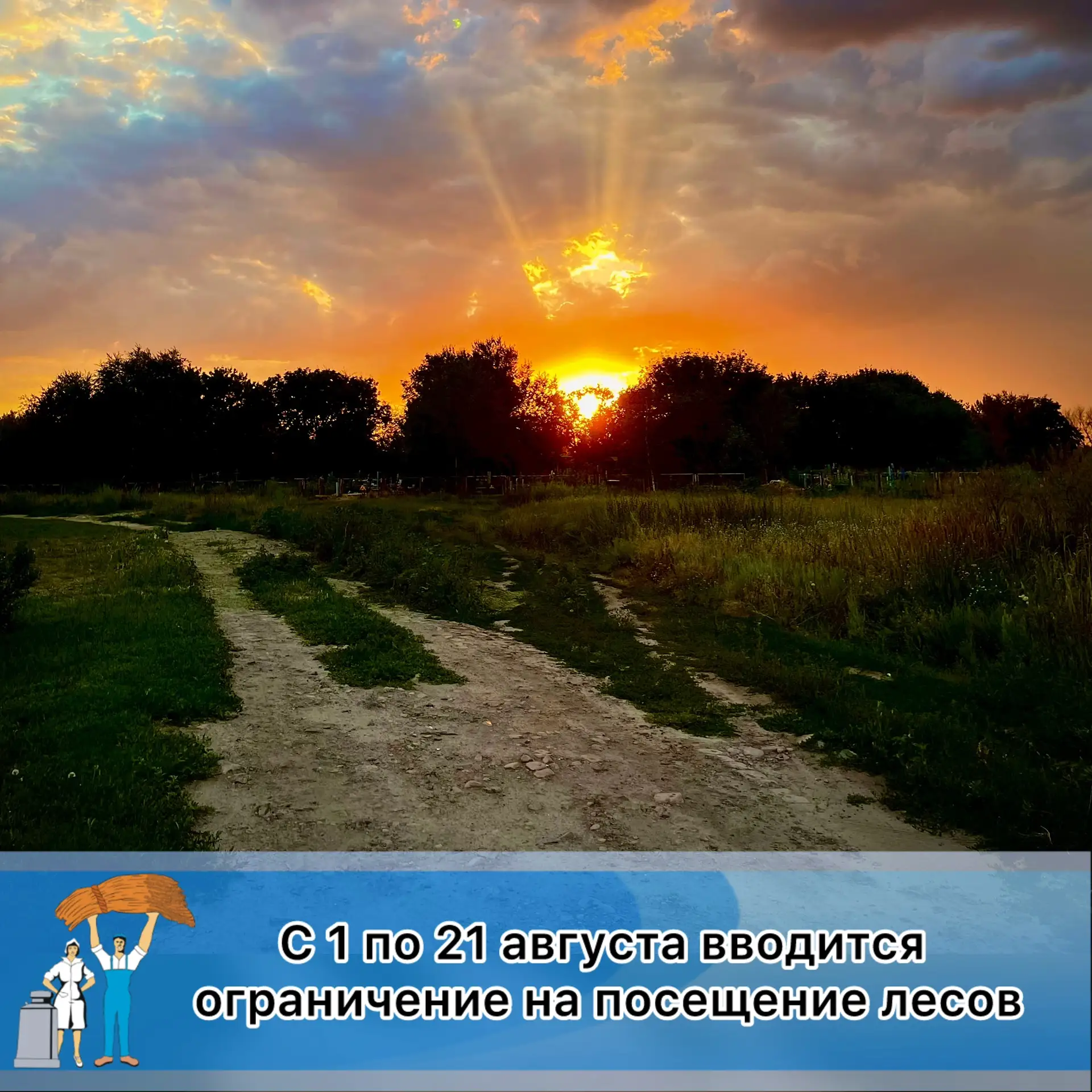 Внимание! С 1 по 21 августа вводится ограничение на посещение лесов

Приказом Облкомприроды от 23.07