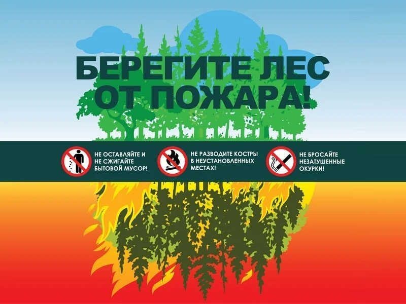 🌲🔥Берегите лес от пожара!