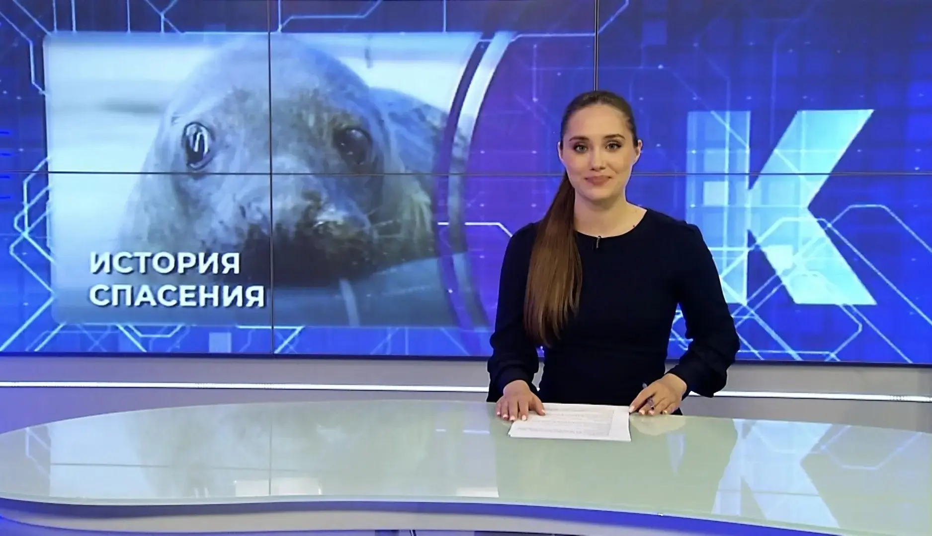 Из «болота» в новостройку, роковой кювет, история спасения и другие новости 19 июня 

⌛Таймкоды:
0:4