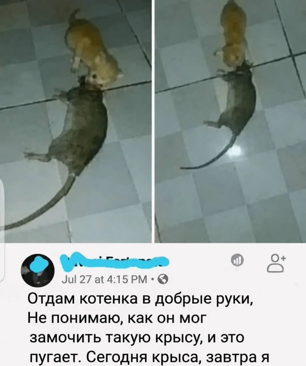 Изображение 1 к публикации «МЕМАЧ»