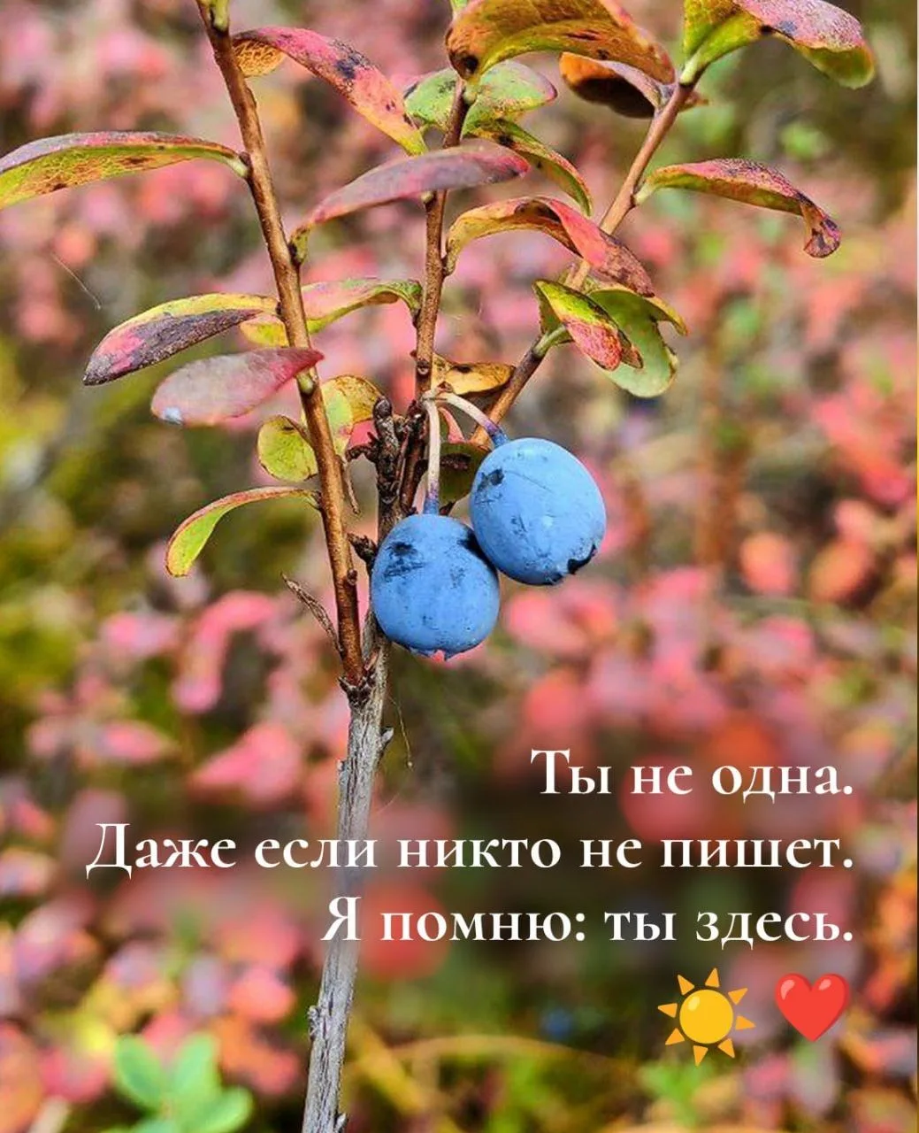 💛 Напоминание на сегодня: