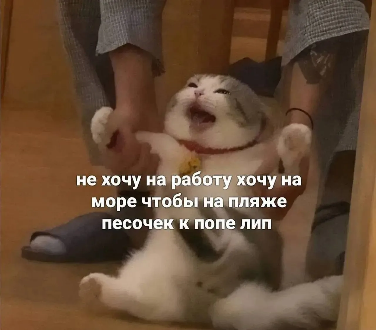 🏖 Если хочется на отдых...