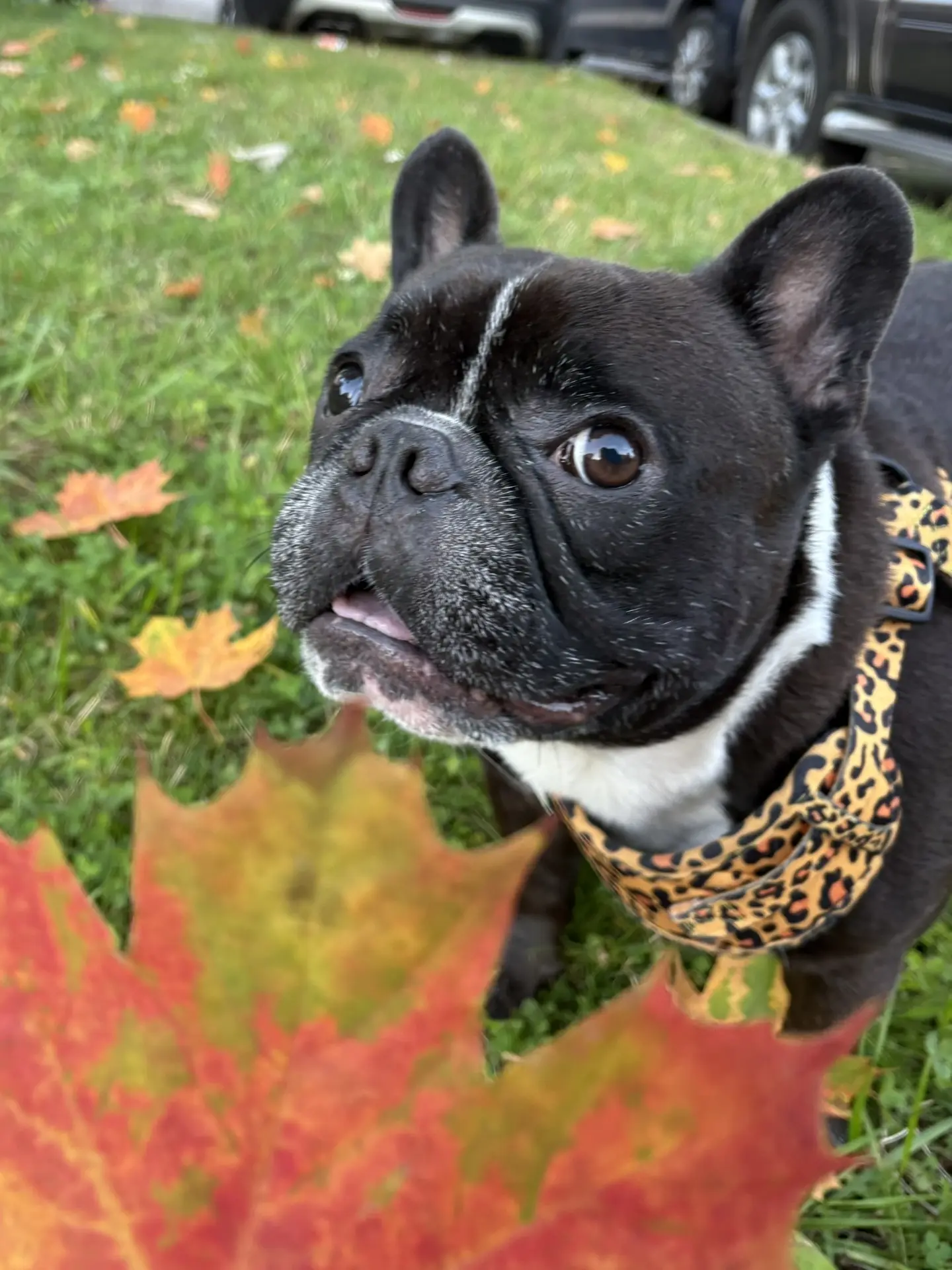 И снова третье сентября 🍁