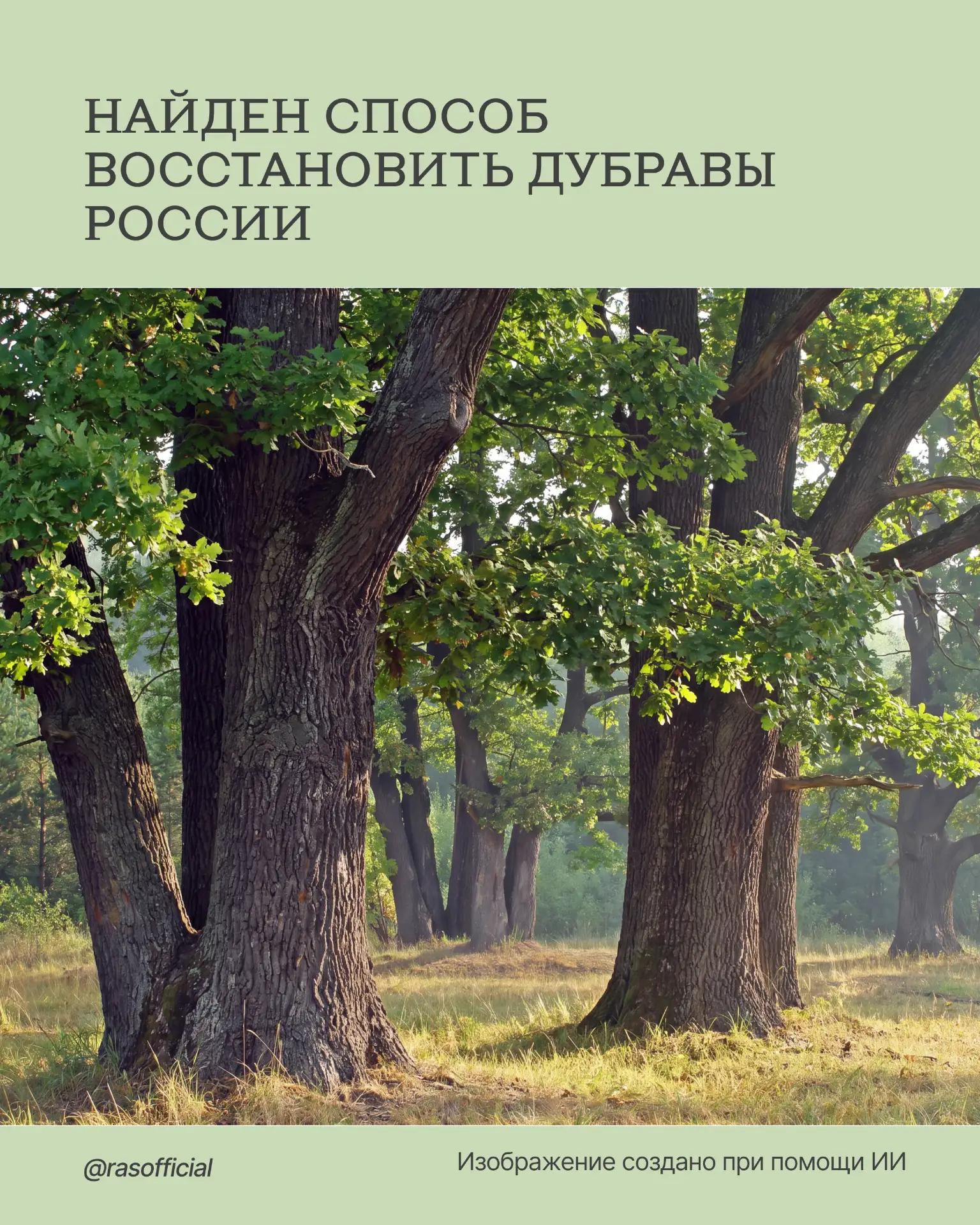 Найден способ восстановить дубравы России

Исследователи из Института лесоведения РАН разработали те