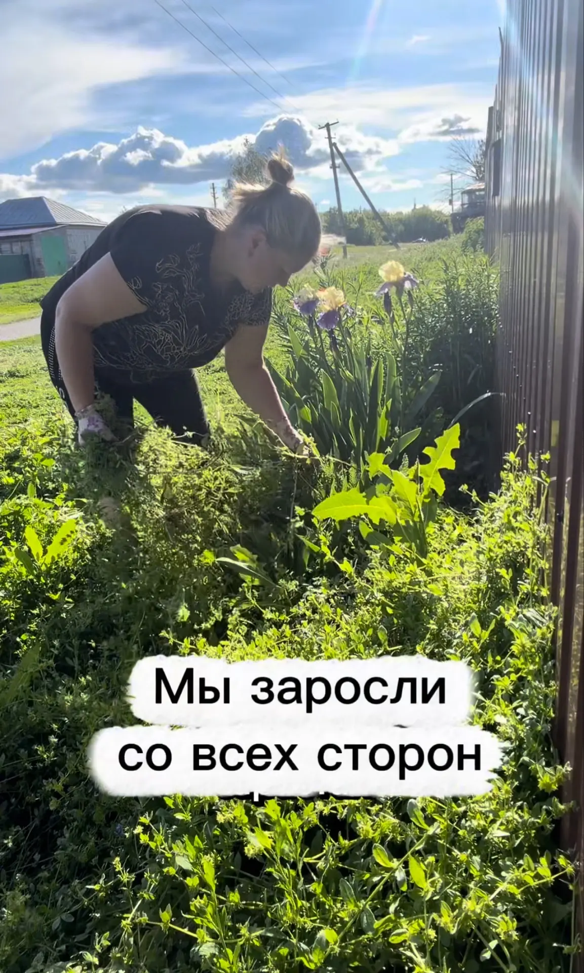 https://vk.ru/clip-229456199_456240159?c=1
Немного запустили территорию возле дома. Крапива выше мен