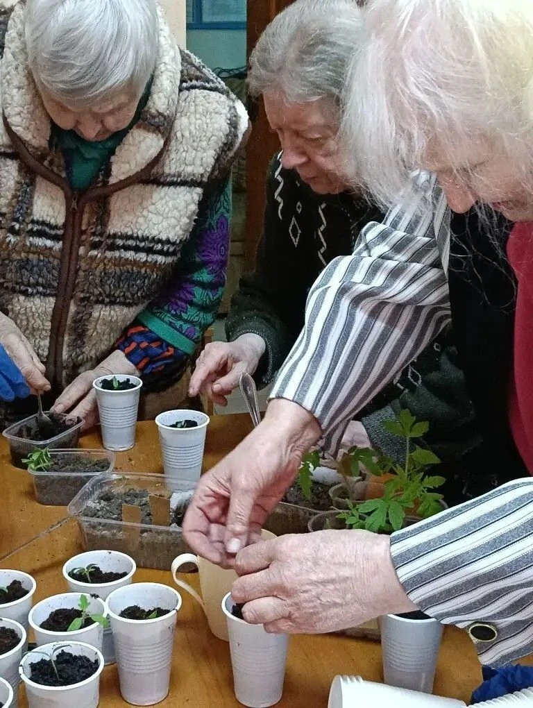 ✨Забота о будущем урожае ⁣ 🏡🌱Проживающие Холмовского дома-интерната для престарелых и инвалидов успе