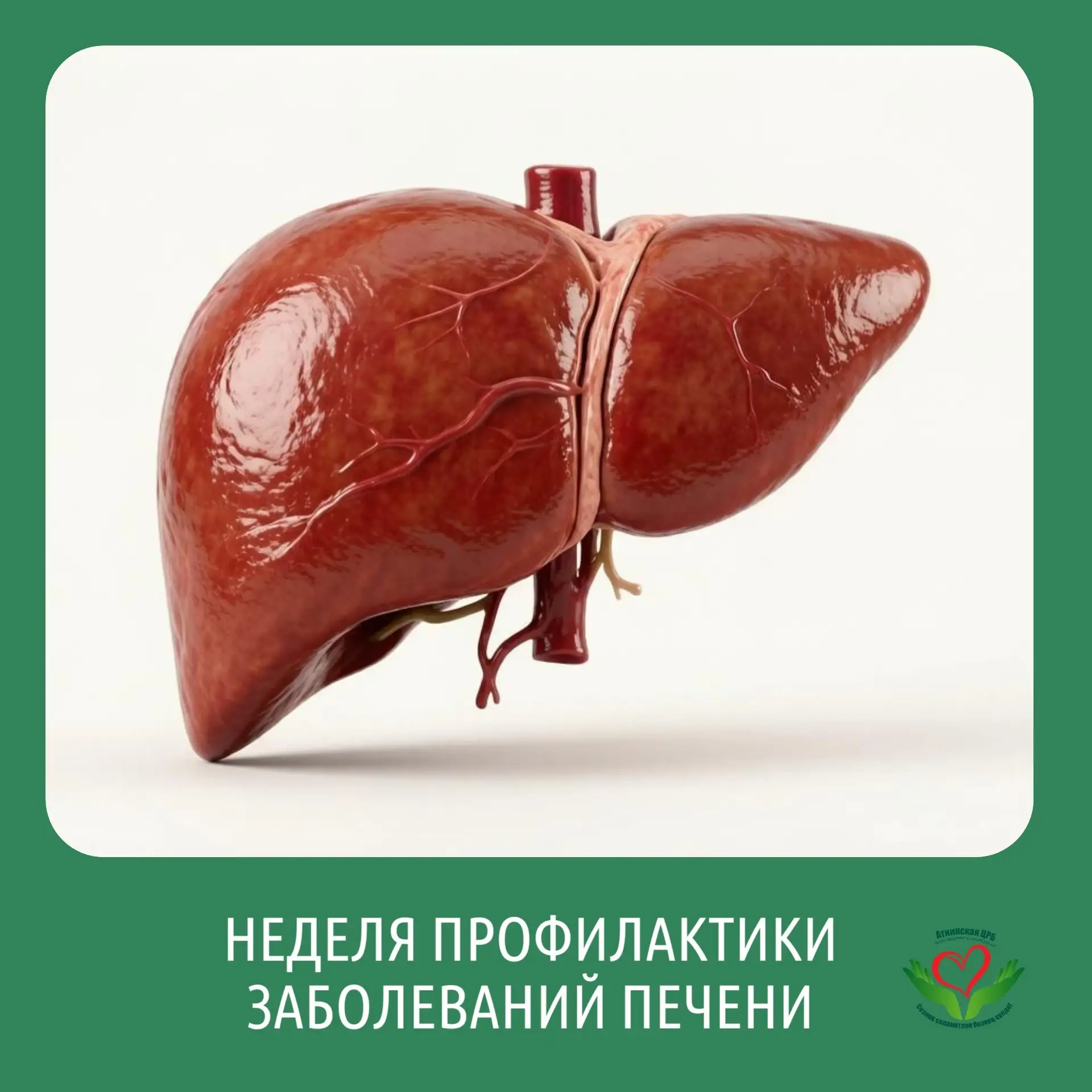 Берегите печень: правила здоровья главного фильтра организма