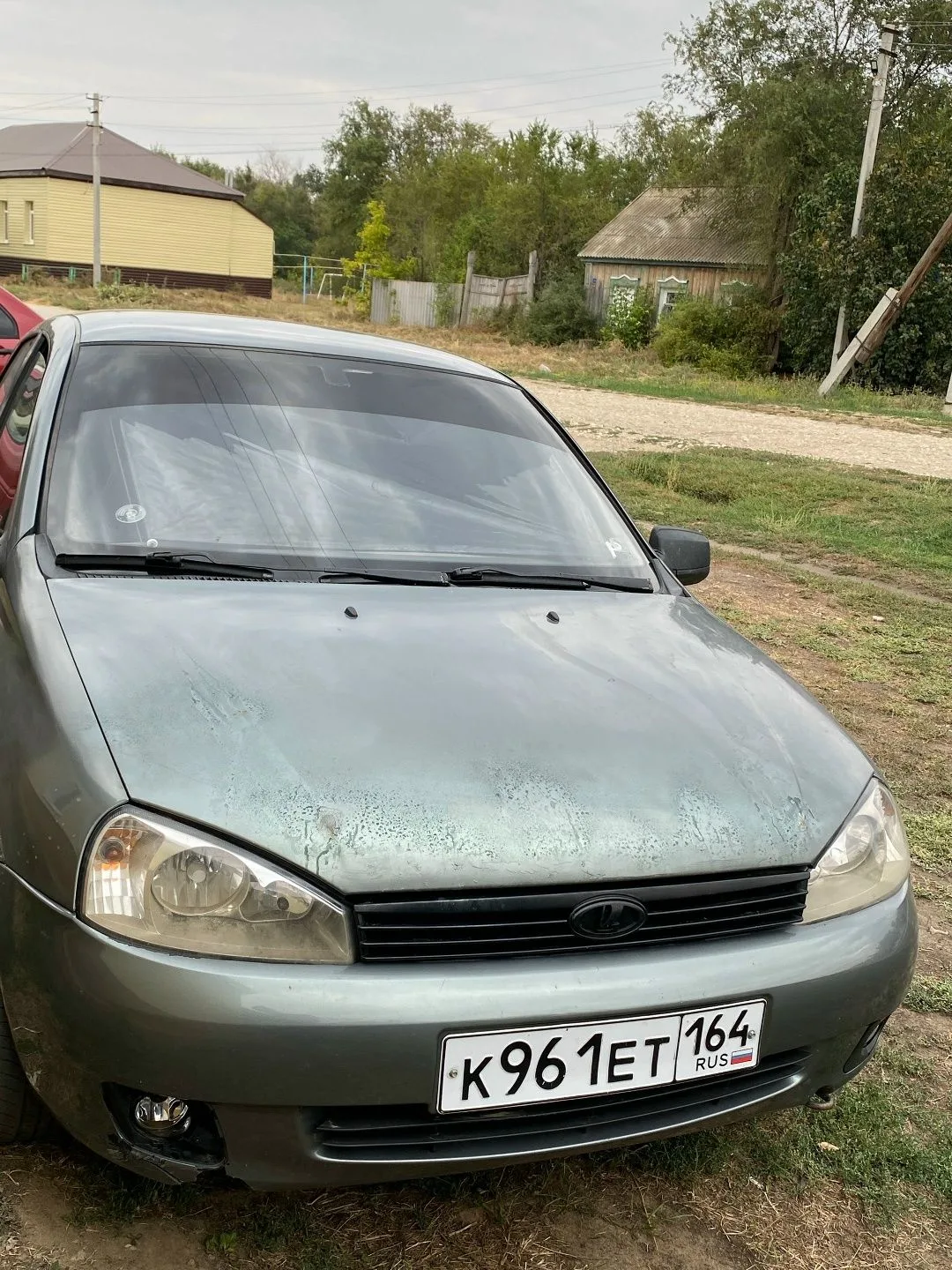 продам калину