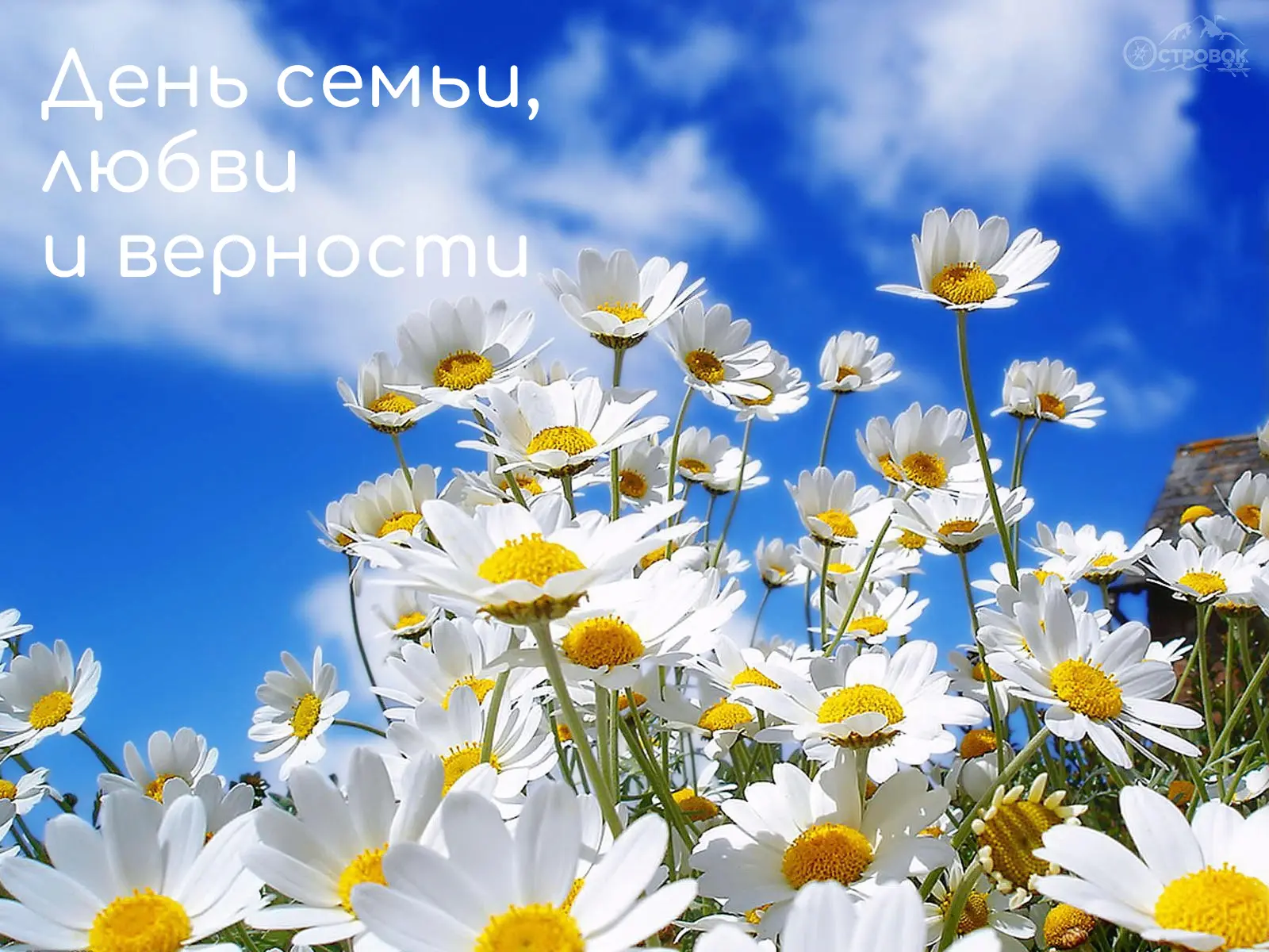 Островок — это большая семья. И мы точно знаем: кто однажды пришел к нам, остаётся верн...