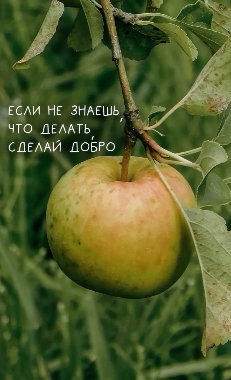 #посланиедня
#ТроицкийДомКультуры
#культуранаселе