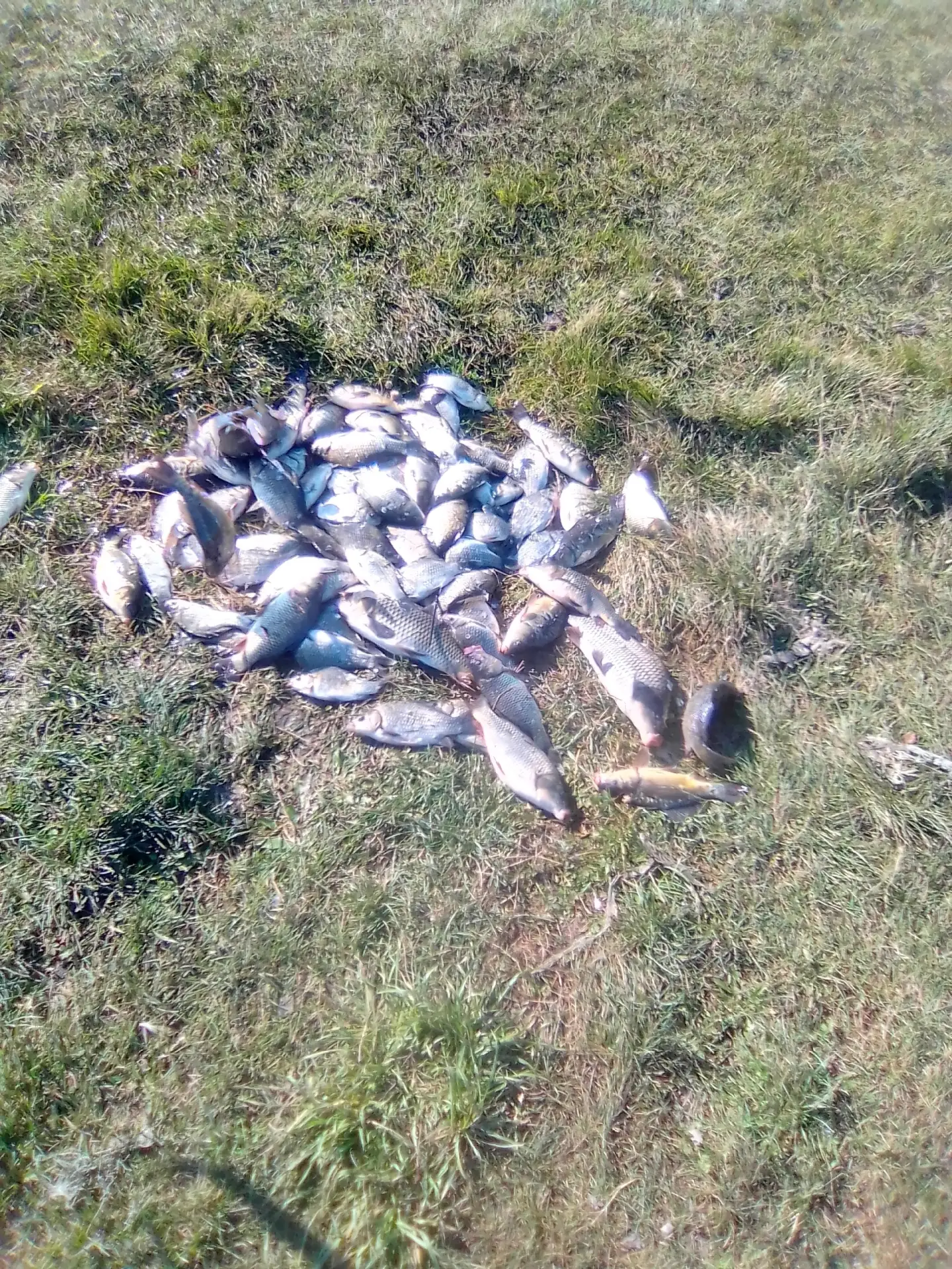 27.09.2026