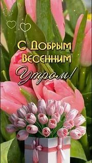 Доброе утро!🥰От всей души хочу поздравить своих коллег с нашим праздником 🎆🫡,пожелат...