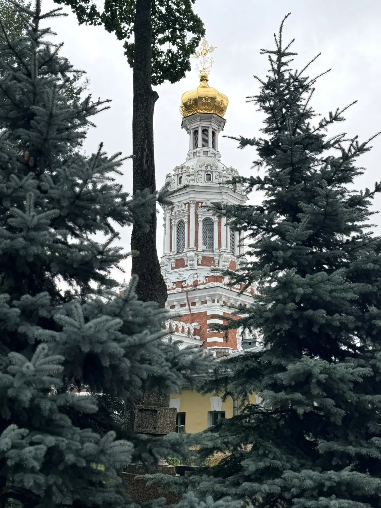 Тепло. Дождь стучит по листьям. Мы решили прогуляться к часовне Ксении Петербургской. П...
