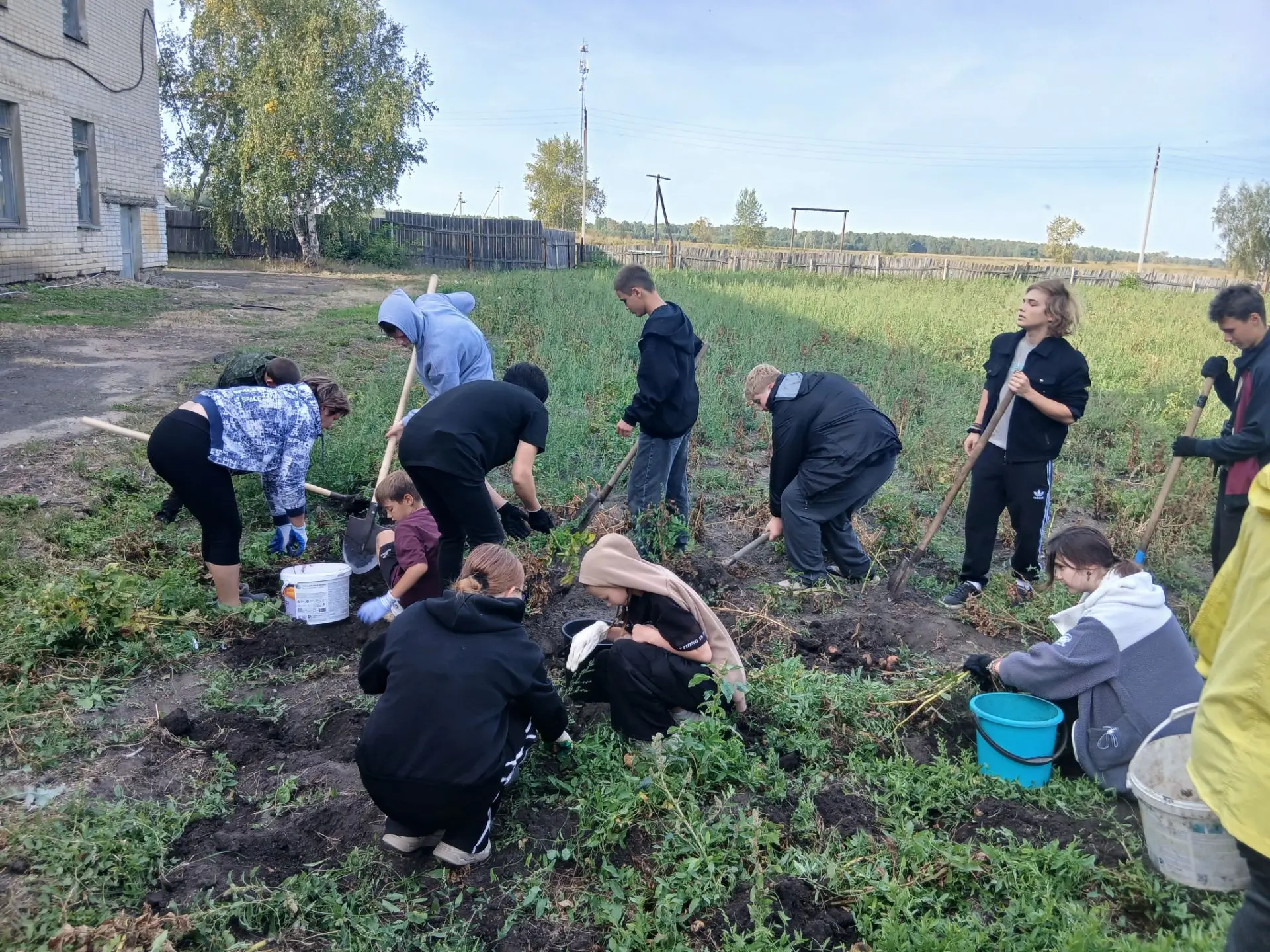 Сегодня прошла ежегодная уборка картофеля на нашем пришкольном участке. Это день, когда...