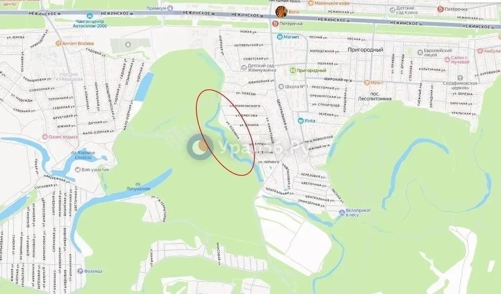 ❗️Озеро под Оренбургом попало в перечень рыбоводных участков, хотя его границы прошли ч...