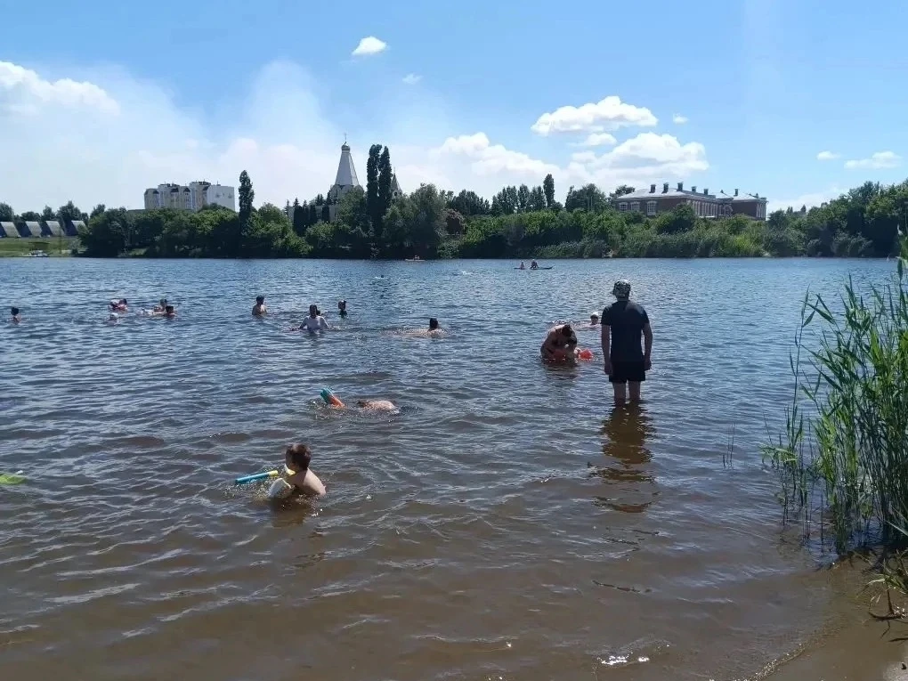 Балаковцам напомнили о штрафах на воде и в лесу 
 
Выходные в Балаково прошли под пристальным вниман