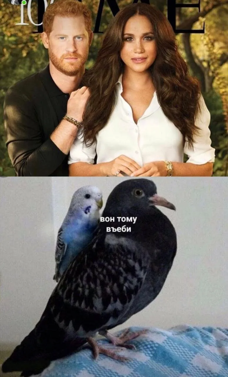 Кино Абсурдус