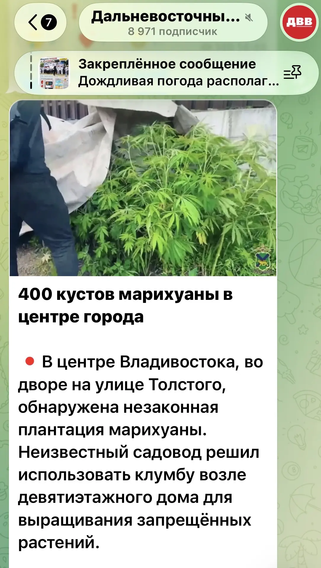 А, Толстого. Родной район. Там такое вообще не сюрприз