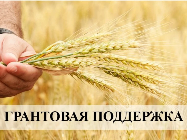 Прием заявок на гранты Минсельхоза РБ: 15–30 июля 2026 г.

1. Грант «Агромотиватор» (однократно)
Сум