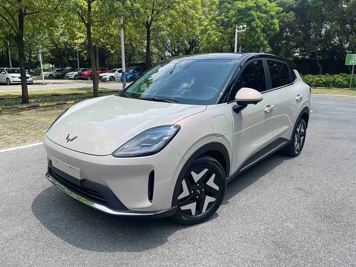 Wuling Bingguo S | 2025