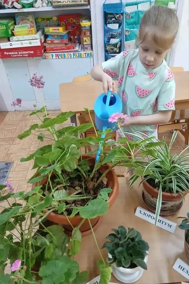 🌳В рамках реализации регионального проекта «Предшкола - стандарт детского сада» на тематической неде