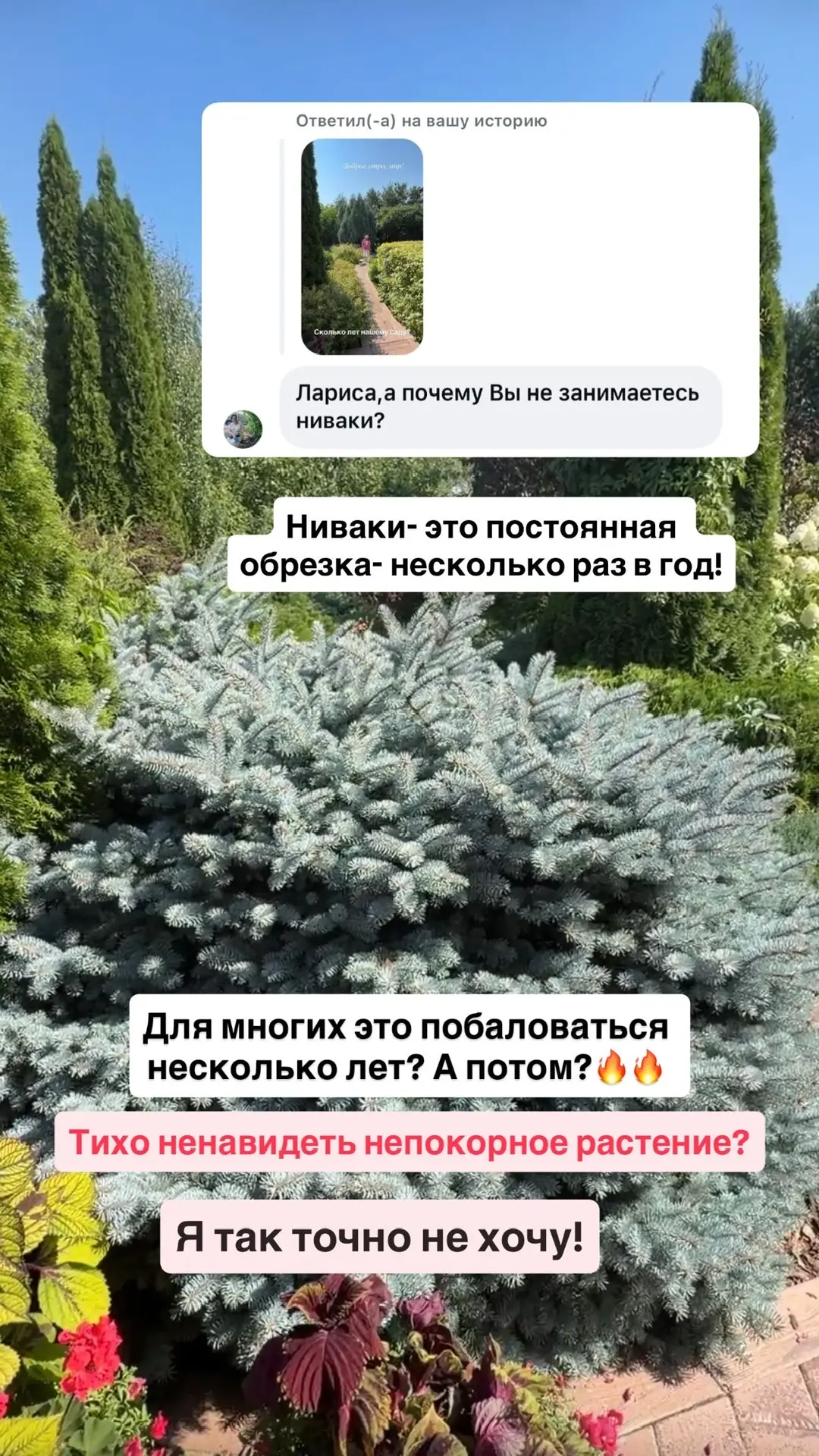 ЗЕЛЕНЫЕ ТИРАНЫ, которые попадая в сад быстро перекраивают правила игры под себя, требую...