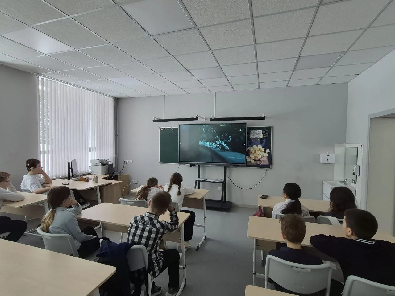 В нашей школе состоялся просмотр трогательного фильма "Африка", рассказывающего историю дружбы собак