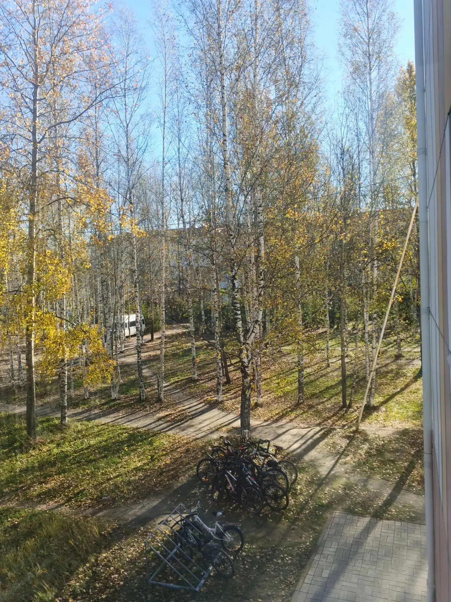 Сегодня прекрасная погода.