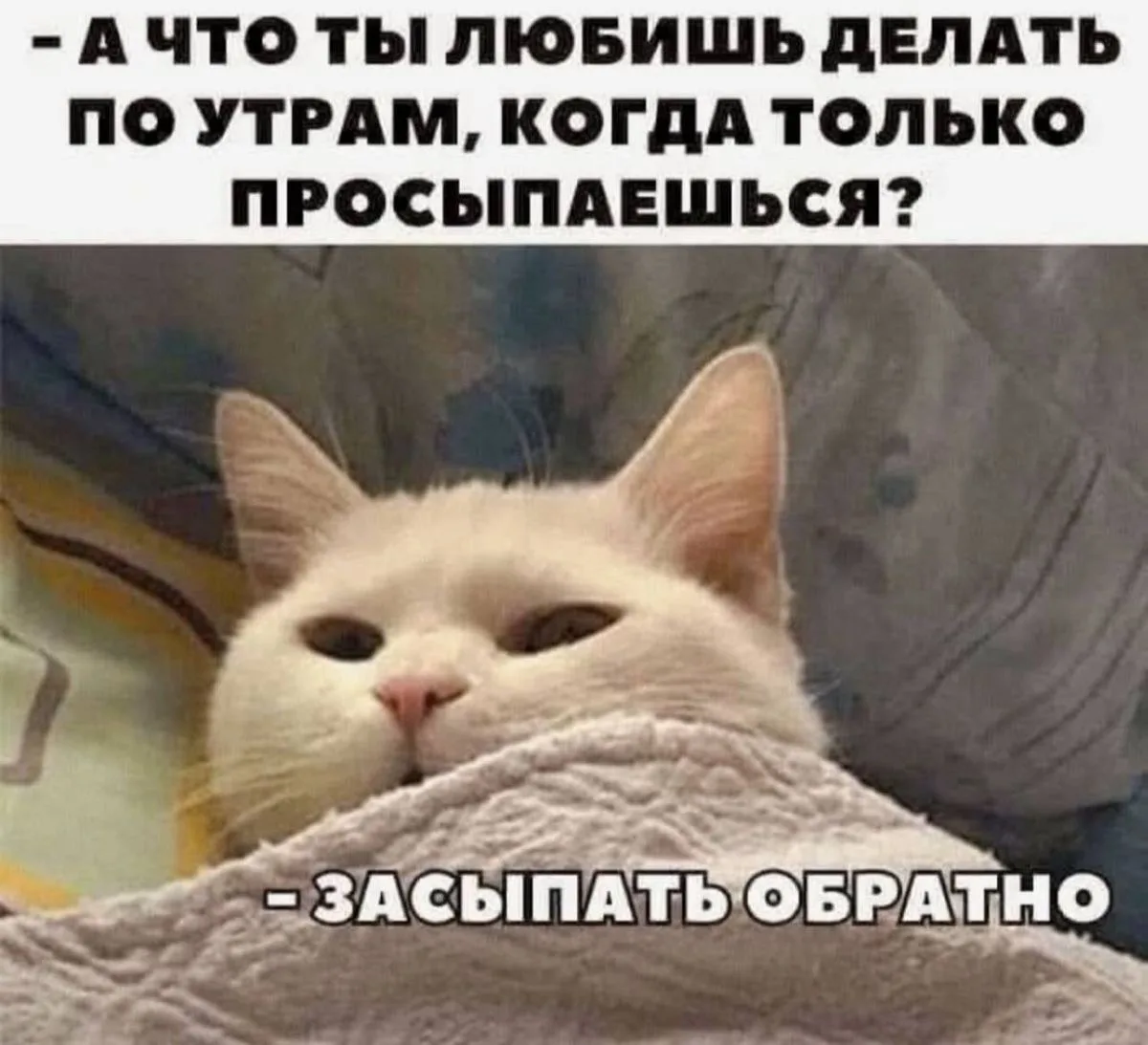 Приемлемый мем для воскресенья!
