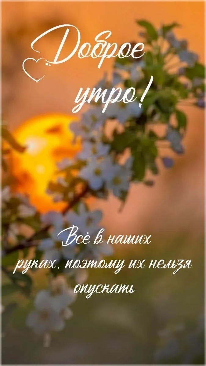 ОТКРЫТКИ